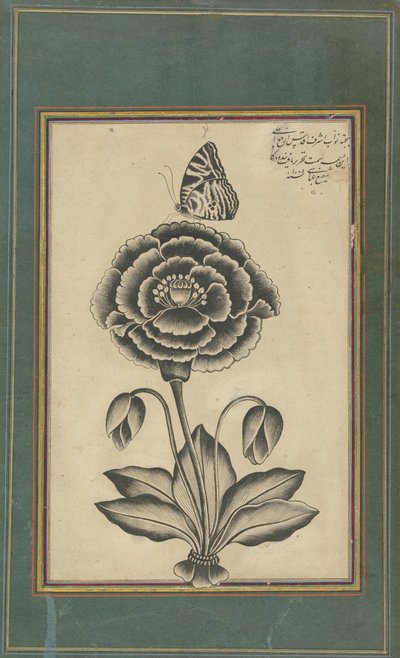 Blomst og en sommerfugl af Shafi