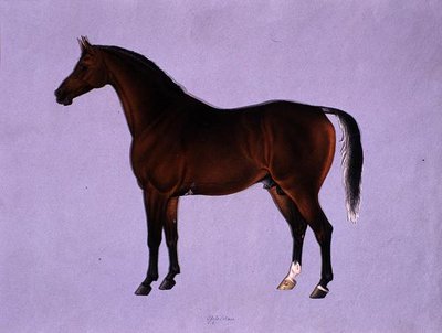 Oppidan, ca. 1840 (akvarel på papir) af Shaik Muhammad Amir of Karraya
