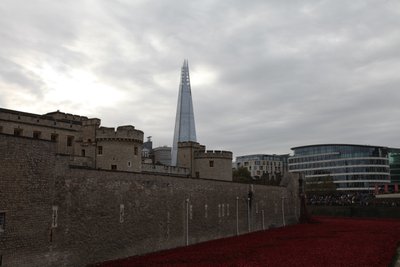 Blood Swept Lands and Seas of Red, Tower of London, 2014. af Sheldon Marshall
