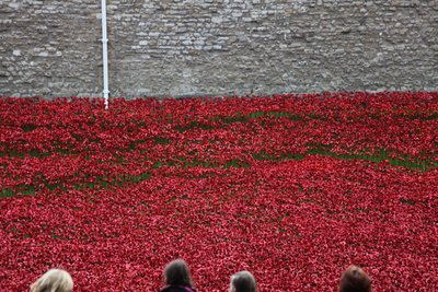 Blood Swept Lands and Seas of Red, Tower of London, 2014. af Sheldon Marshall