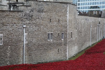 Blood Swept Lands and Seas of Red, Tower of London, 2014. af Sheldon Marshall