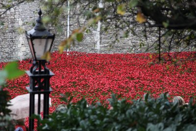 Blood Swept Lands and Seas of Red, Tower of London, 2014. af Sheldon Marshall