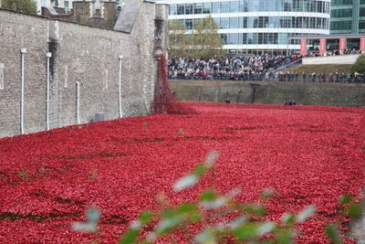 Blood Swept Lands and Seas of Red, Tower of London, 2014. af Sheldon Marshall