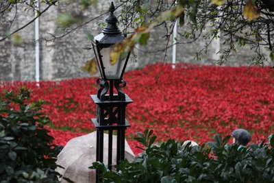 Blood Swept Lands and Seas of Red, Tower of London, 2014. af Sheldon Marshall