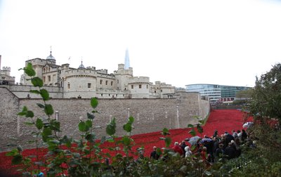 Blood Swept Lands and Seas of Red, Tower of London, 2014. af Sheldon Marshall