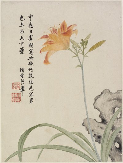 Daglilje fra et blomsteralbum med ti blade, 1656 (blæk og farve på papir) af Shengmo Xiang