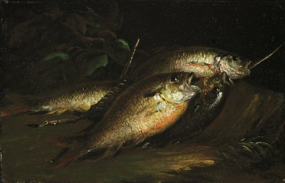 Fisk, 1842. af Shepard Alonzo Mount