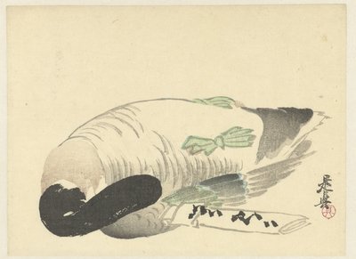 Død and ved siden af ​​foldet brev af Shibata Zeshin