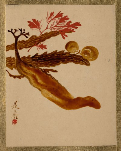 Tang. af Shibata Zeshin