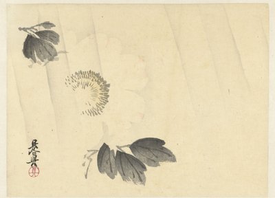 Hvid pæon i regnen af Shibata Zeshin