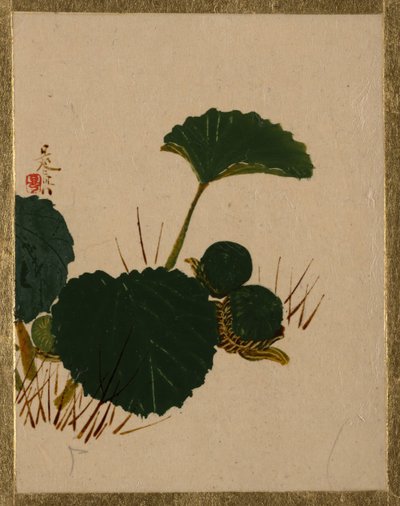Orm på grønbladede plante. af Shibata Zeshin