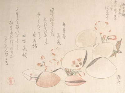 Kirsebærblomster og skaller, 1800-tallet., 1800-tallet. af Shinsai