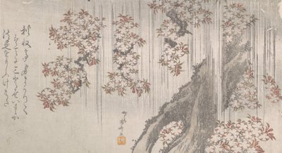 Cherry Blossoms in the Rain, 1800-tallet., 1800-tallet. af Shinsai