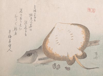 Stingray og Gurnard, sandsynligvis 1815., sandsynligvis 1815. af Shinsai