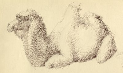 Kamel, c1951. af Shirley Markham