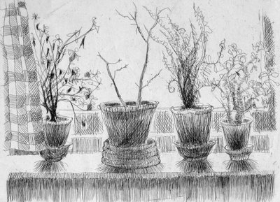 Døde planter i en vindueskarm, 1952. af Shirley Markham