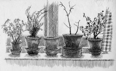 Døde planter i en vindueskarm, 1952. af Shirley Markham
