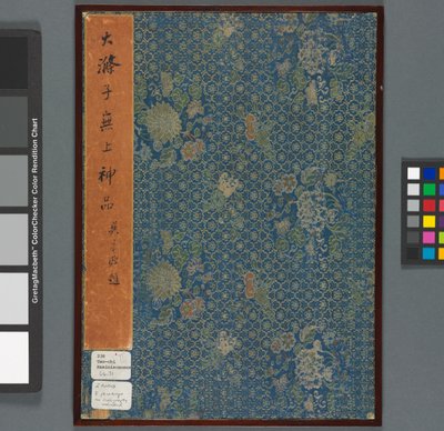 Erindringer om Qinhuai-floden, Qing-dynastiet (blæk og farve på papir) af Shitao Daoji