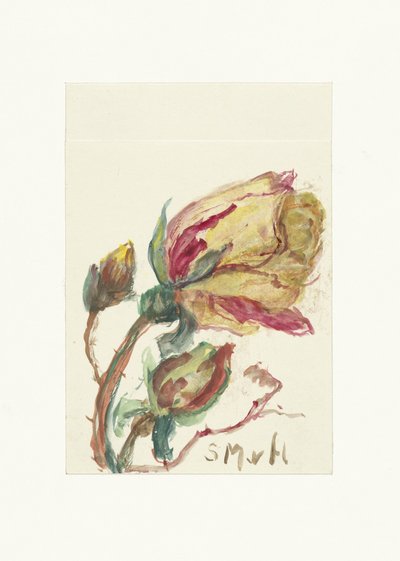 Roos af Sientje Mesdag van Houten