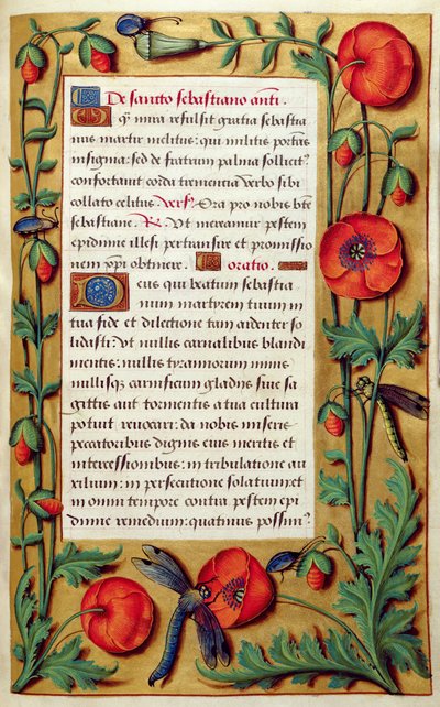 Tilføj 18855 f.103 Valmuer og guldsmede, fra en timebog, ca. 1540 (vellum) af Simon Bening