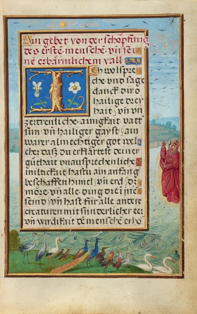 Bordüre mit der Erschaffung von Vögeln und Fischen af Simon Bening