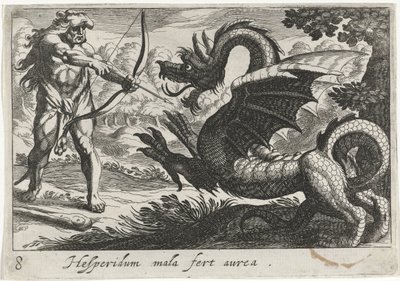 Hercules dræber dragen Ladon Hesperidum mala fert aurea (titel på objekt) Herkuliske temaer (serietitel) af Simon Frisius