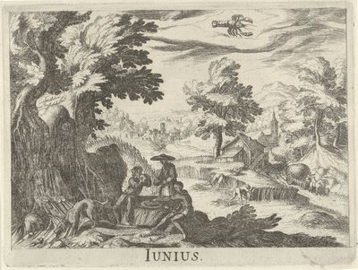 juni Junius (titel på objekt) Tolv måneder (serietitel) af Simon Frisius