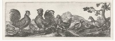 Fjerkræ Fugle og insekter (serietitel) af Simon Frisius