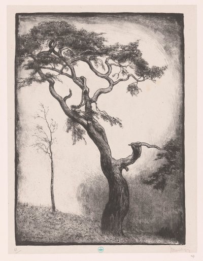 fyrretræ af Simon Moulijn (signed by artist)