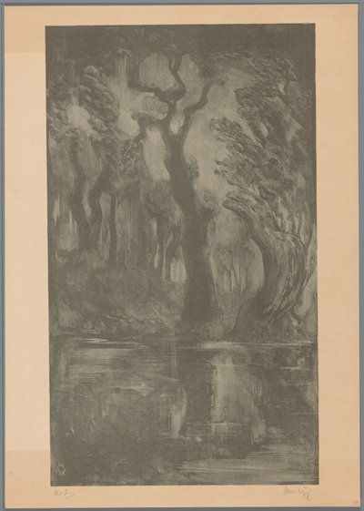 Vand i skoven Dream Forest (original titel) af Simon Moulijn (signed by artist)