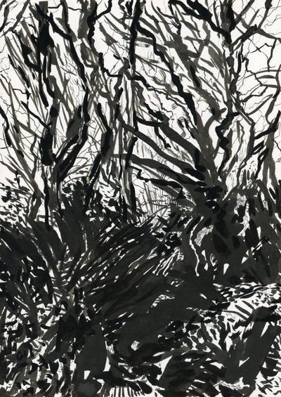Ham Common Woods (blæk og grafit på papir) af Simon Neville