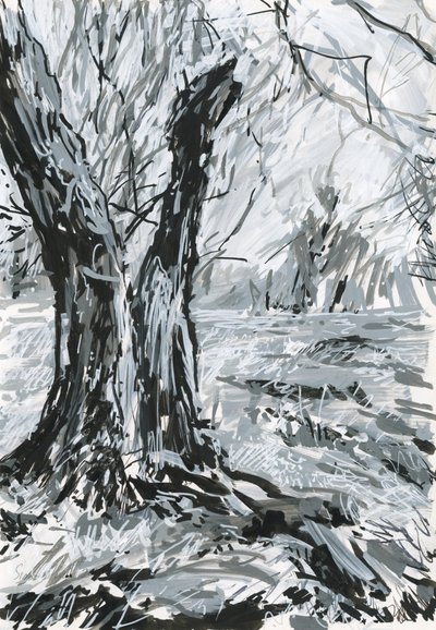 Gammelt træ, Richmond Park (akrylmaling og blæk på papir) af Simon Neville