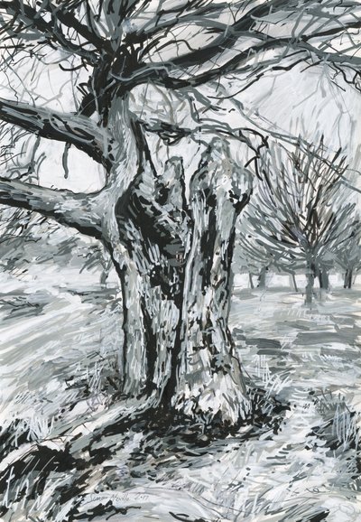 Gammelt træ, Richmond Park (akrylmaling og blæk på papir) af Simon Neville