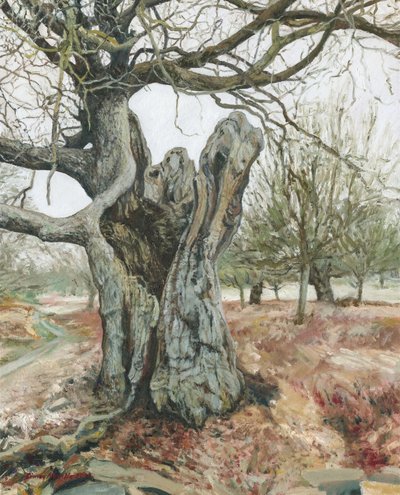 Gammelt træ, Richmond Park, 2018 (olie på linned) af Simon Neville