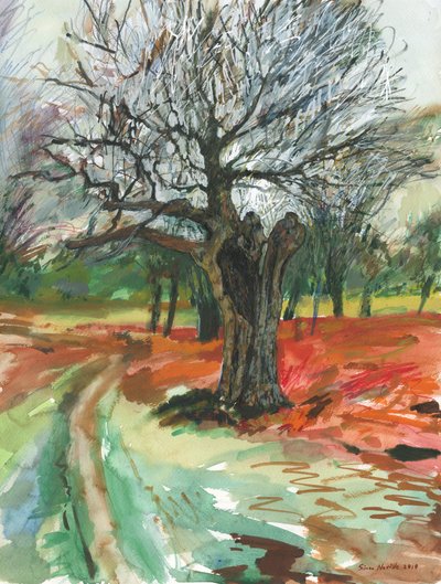 Gammelt træ, Richmond Park, 2019 (akvarelblyant og akrylfarvemarkør på papir) af Simon Neville