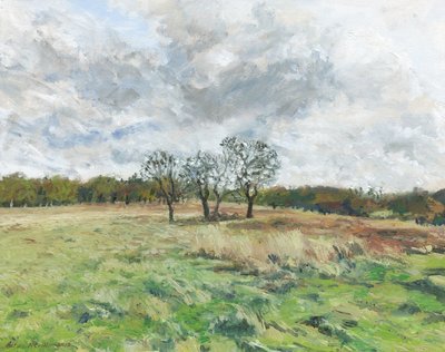 Richmond Park (olie på lærred) af Simon Neville