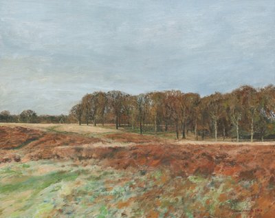 Richmond Park, 2019 (olie på lærred) af Simon Neville