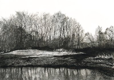 Bevoksning af birketræer, Burying Hill Beach (blæk på papir) af Simon Neville