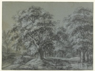 Skovlandskab med et vand af Simon de Vlieger