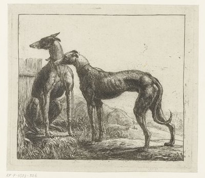 To greyhounds Forskellige dyr (serietitel) Kite Bugs (serietitel) af Simon de Vlieger