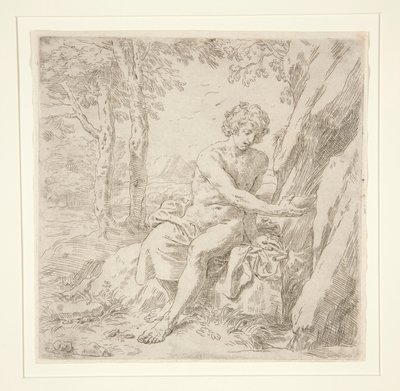 Johannes Døberen i ørkenen af Simone Cantarini