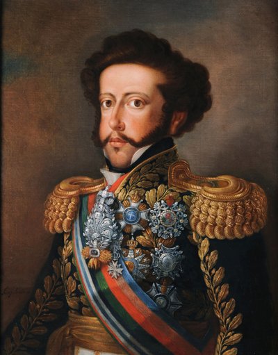 Portræt af D. Pedro I af Simplicio Rodrigues de Sa