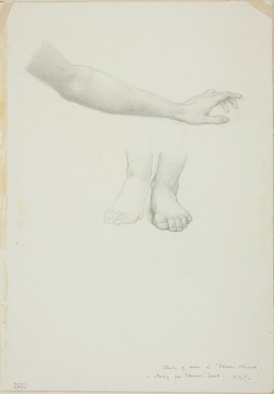 Arm og fødder, studie til Mirror of Venus af Sir Edward Burne Jones