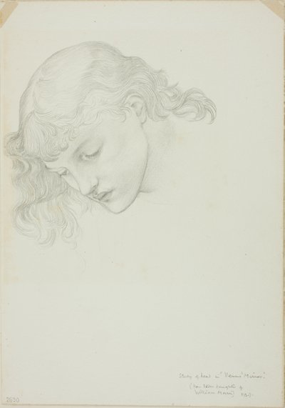 Head, Study for Mirror of Venus af Sir Edward Burne Jones