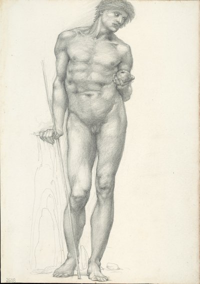 Paris med gyldent æble i venstre hånd, til Troy-triptykonen (skitsebog #2638) af Sir Edward Burne Jones