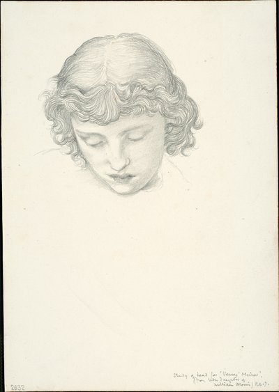 Studie til Mirror of Venus: Head af Sir Edward Burne Jones