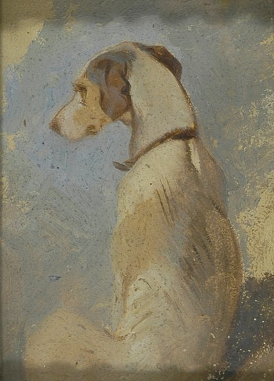 Studie af en Greyhound af Sir Edwin Henry Landseer