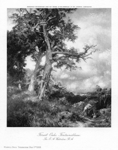 Forest Oaks, Fontainebleau, 1908. af Sir Ernest Albert Waterlow