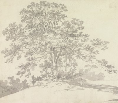 Træ af Sir George Howland Beaumont seventh Baronet