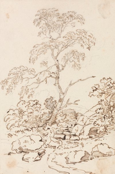 Træ for trin af Sir George Howland Beaumont seventh Baronet